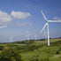 Windfarm Ecology